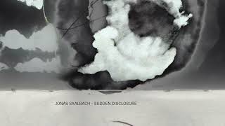 Jonas Saalbach  Sudden Disclosure [upl. by Jana]