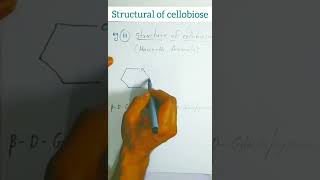 Haworth formula of cellobiose [upl. by Lutim]