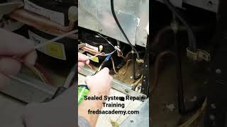 Sealed system repair  appliance repair training training refrigeratorrepair appliancerepair [upl. by Byrd]