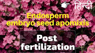 Endosperm  Embryo  Seed  Apomixis and polyembryony  class 12  In Hindi  Be Educated [upl. by Aknayirp]