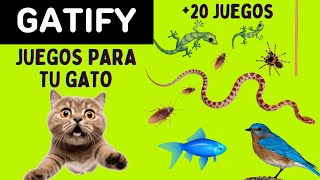 Juegos para Gatos  3 Horas de Ratones Moscas Cucarachas Peces Pájaros y todo lo que le gusta [upl. by Leler]