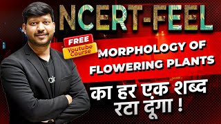 Chapter5 Morphology of Flowering Plants  360360 NCERT Feel Series neet2024 NEETkakaJEE [upl. by Onaled]