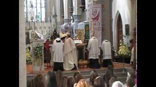 Enniscorthy Procession St Aidans Cathedral 05062013 [upl. by Eelarbed]