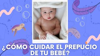 ¿Cómo cuidar el prepucio de tu bebé [upl. by Knah]