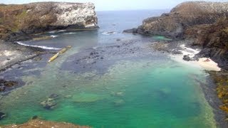 Vacances au Sénégal  découvrir Dakar et la Petite Côte Saly [upl. by Barbour262]