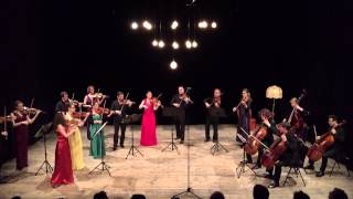 F Mendelssohn  Symphony for Strings n°10 in B minor  Camerata Alma Viva [upl. by Kylander]