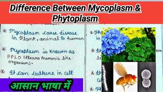 Difference between Mycoplasma amp Phytoplasma Mycoplasma और Phytoplasma में अंतर  Bsc 1st semester [upl. by Hodgkinson909]