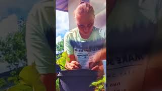 Repotting plants short version summer sun garden Austria July 2024 [upl. by Lindly]