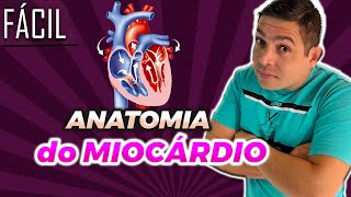 COMO ESTUDAR ANATOMIA DO CORAÇÃO CAMADAS CARDÍACAS e FUNÇÕES PARTE 2 [upl. by Sylvia]