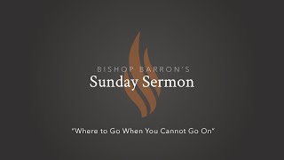 Where to Go When You Cannot Go On — Bishop Barron’s Sunday Sermon [upl. by Denoting403]