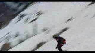 Ice Spiders 2007  The Movie Trailer [upl. by Bugbee]