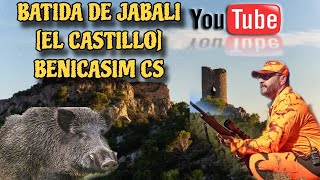 CazaBatida de jabali El Castillo Benicasin CS caza caça caccia hunter chasse jabali [upl. by Tarrah]