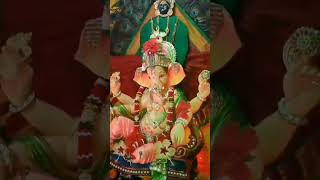 गणपती बाप्पा मोरया🙏 shortvideo onlybappaclicks nature kokan ganpatibappamorya love [upl. by Yrag]