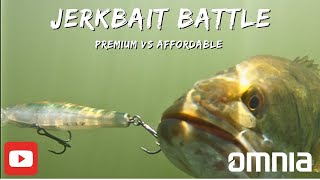 Jerk bait Battle Premium vs Budget Baits Underwater [upl. by Atikram250]