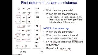 Lecture 16 prep 3 [upl. by Oravla]