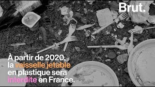 Voilà ce qui remplacera la vaisselle en plastique interdite en 2020 [upl. by Lleunamme]