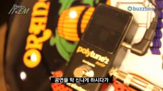 TC Electronic 페달튜너 PolyTune 2 Mini Noir [upl. by Richie]