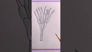 how to draw penicilliumfungi diagramfungi drawing shorts viral videoviral [upl. by Wolk]