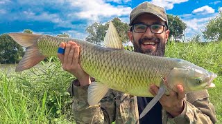 I Caught and Cooked An Unforgettable Lunch Out Of Wild Fish Easy Carp Recipe In Nature [upl. by Dleifxam]