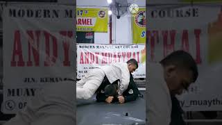 Lapel Peruvian Necktie Choke beladiri mma bjjjakarta indonesianmartialarts jiujitsu [upl. by Quinton]