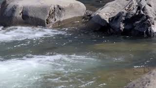 Barrancoso river Fishing at Estancia Laguna Verde Lodge Jurassic lake [upl. by Meibers703]