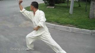 Jing Gang Ba Shi  Green Dragon Slow  Master Zhou Jingxuan [upl. by Weintrob]