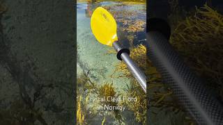 Kayaking in crystal clear Fjord in Norway [upl. by Monti]