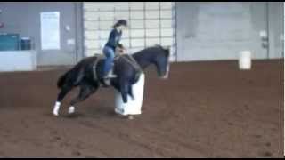 1D Barrel Horse FOR SALE [upl. by Luella]