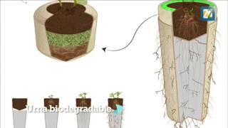 Top 3 Tecnologías sustentables [upl. by Nolan]