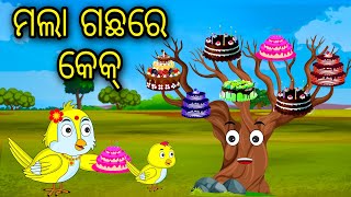 Mala Gachare Cake  Odia Cartoon Odia Bird StoriesOdia Chadhei Gapa Odia Moral Story Odia Gapa [upl. by Alsworth]