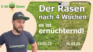 Das ist ernüchternd Mein Rasen nach 4 Wochen AerifizierenSanden [upl. by Saul]