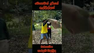 මෙහෙම දුරියන් ඇල්ලිල්ලක්best skill at worksinhala video trendingpudumayamatharayaduriyan catch [upl. by Netsirc]