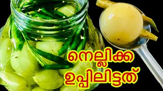 നെല്ലിക്ക ഉപ്പിലിട്ടത്  Nellikka Uppilittathu Salted Gooseberry Kerala Recipe [upl. by Adev940]