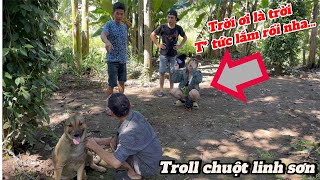 Troll Chuột Linh Sơn và Cái Kết [upl. by Evette]