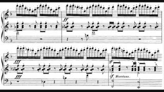 CharlesMarie Widor  Toccata from Symphony for Organ No 5 [upl. by Hnil]