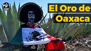 CharroPodcast 10 – Un viaje para conocer el alma de México… en Oaxaca [upl. by Lynnet]