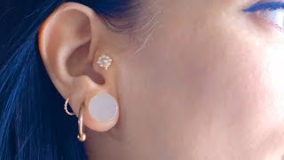 Tragus Piercing What You Should Know Before You Go [upl. by Melva]