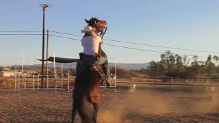 How to stay on a rearing horse Crazy horse [upl. by Fairley]