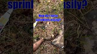 How To Raise Sprinklers EASY amp Quickly speinkler lawn healthylawn [upl. by Nodnal]