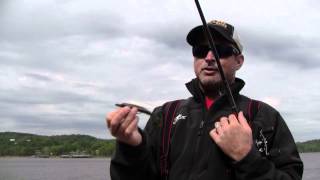 How to Fish Finesse Swimbaits [upl. by Aliac743]