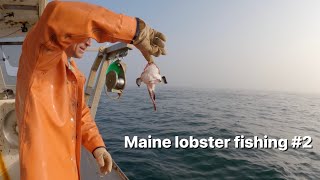 Maine lobster fishing 2 [upl. by Attenaej]