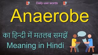 Anaerobe examples  anaerobe meaning [upl. by Hcra]