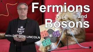 Fermions and Bosons [upl. by Akena]