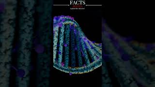 CRISPR Gene Editing Cas9 Technology  Exploring DNA Manipulation biotechnology shorts [upl. by Innej]