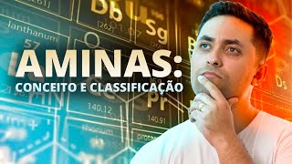 🧪 AMINAS CONCEITO E CLASSIFICAÇÃO [upl. by Allisurd]