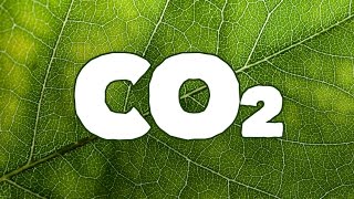 Using CO2 in a Sealed Grow Room Opticlimate [upl. by Sherwynd]