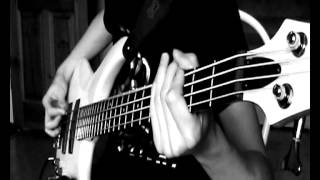 SlipknotGently Bass Cover [upl. by Yekcaj104]