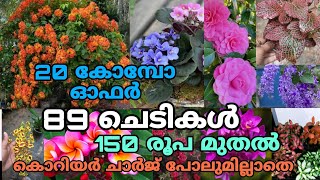 🌺🥰🤩 20 കോമ്പോ ഓഫറുകൾ 89 ചെടികൾ 150 രൂപgardeningplants garden [upl. by Teufert727]