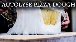 No Music How To Make Perfect Neapolitan Pizza Dough With Autolyse  Autolyse Pizza Dough Recipe [upl. by Naihr]