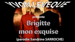 Brigitte mon exquise  Parodie Sandrine Sarroche [upl. by Nahk]